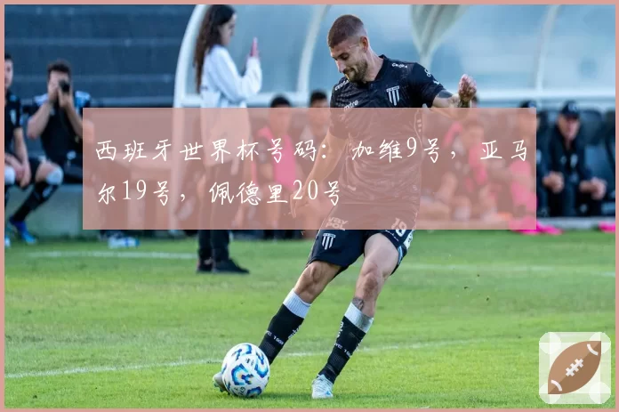 西班牙世界杯号码：加维9号，亚马尔19号，佩德里20号