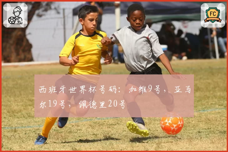 西班牙世界杯号码：加维9号，亚马尔19号，佩德里20号